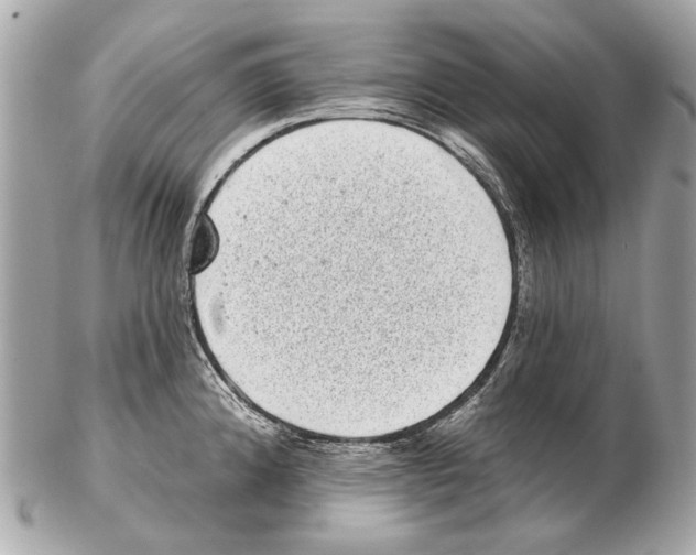 X0000102401192200808291438
