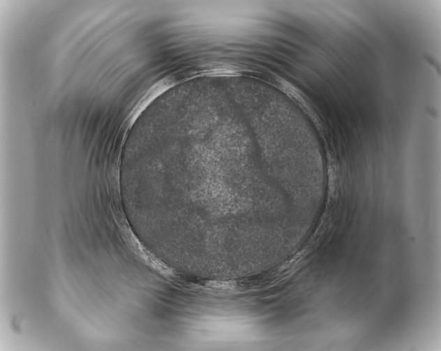X0000102401194200808291438
