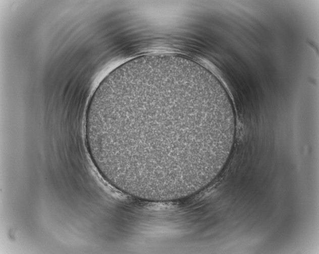 X0000102401195200808291438