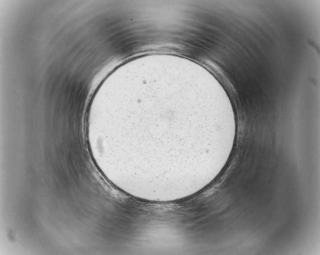 X0000102401196200808291438