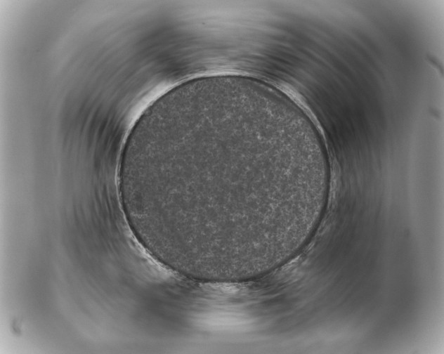 X0000102401197200808291438