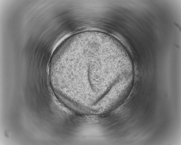 X0000102401198200808291438