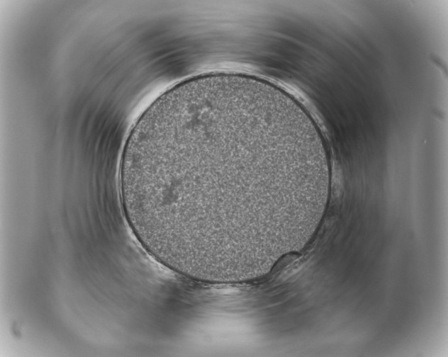 X0000102401199200808291438