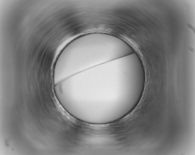 X0000102401200200808291438