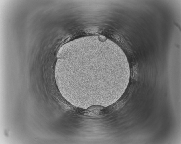 X0000102401201200808291438