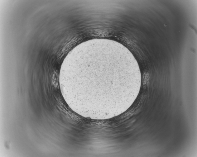X0000102401202200808291438