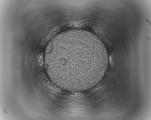 X0000102401203200808291438