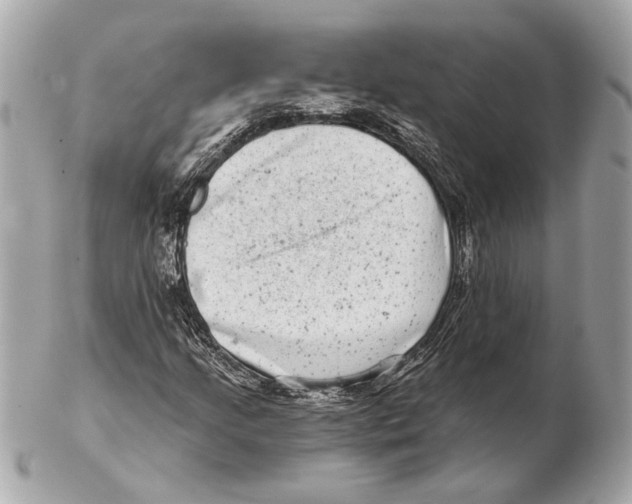 X0000102401205200808291438