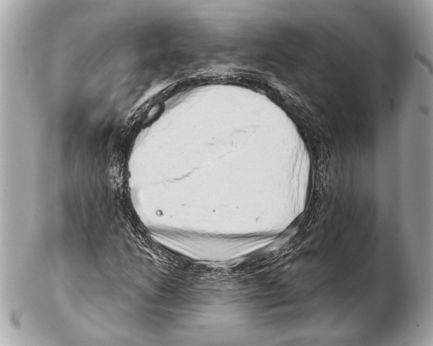 X0000102401206200808291438
