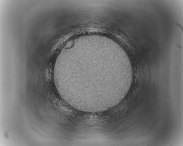 X0000102401207200808291438