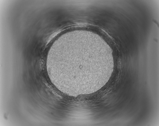 X0000102401208200808291438