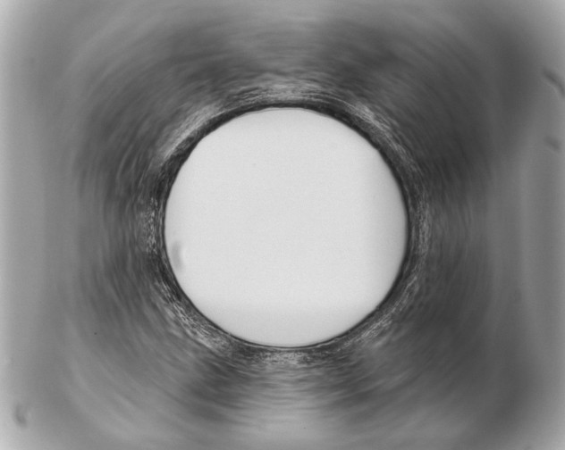 X0000102401211200808291438