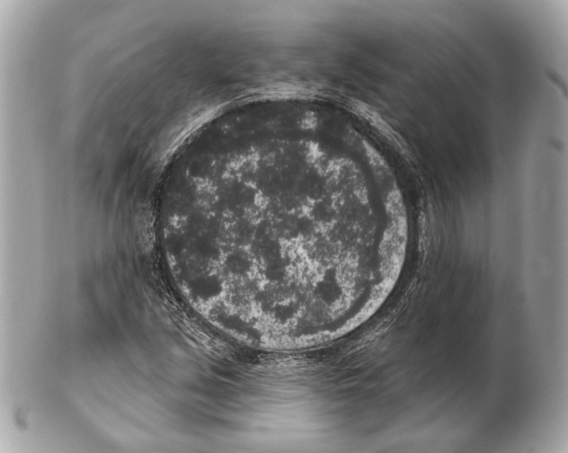 X0000102401213200808291438