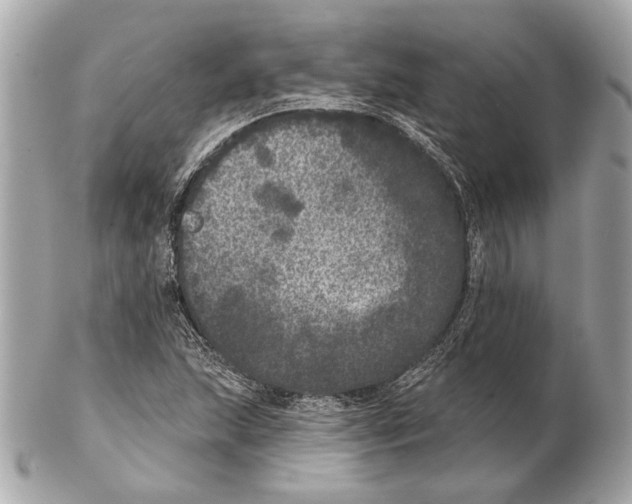 X0000102401215200808291438