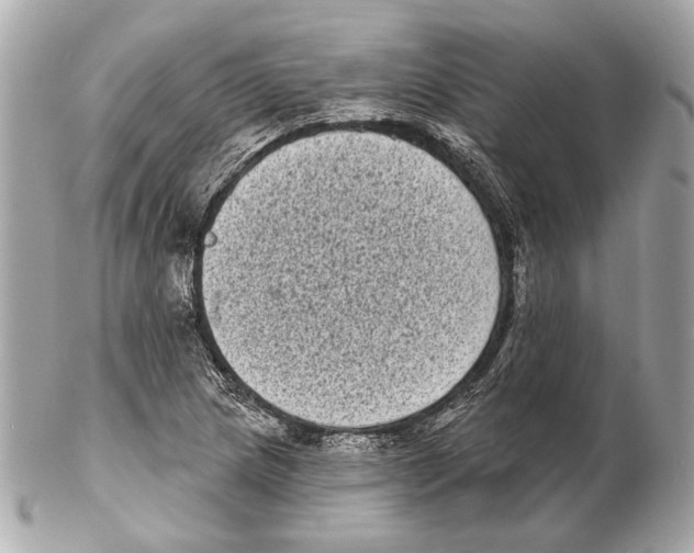 X0000102401217200808291438
