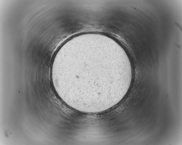 X0000102401220200808291438