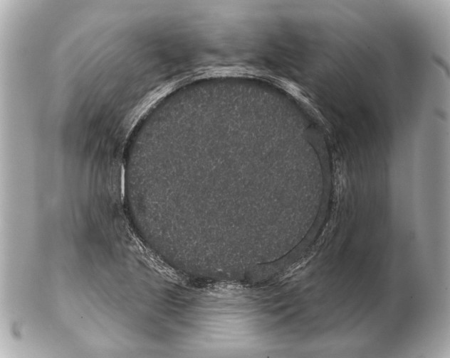 X0000102401221200808291438