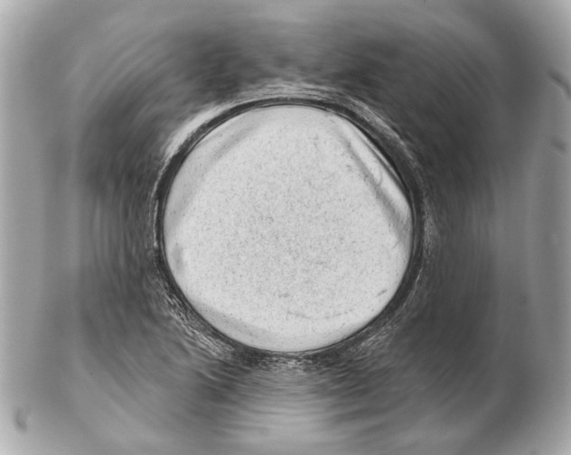 X0000102401222200808291438