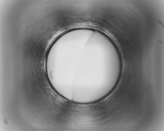 X0000102401224200808291438