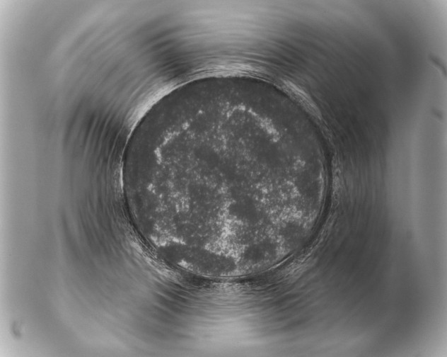 X0000102401226200808291438