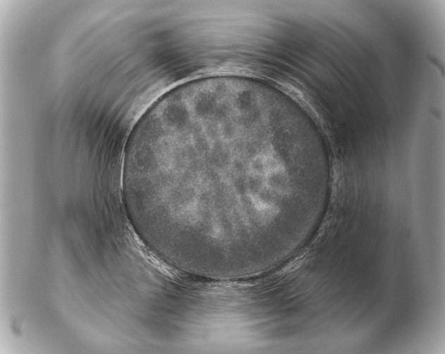 X0000102401228200808291438