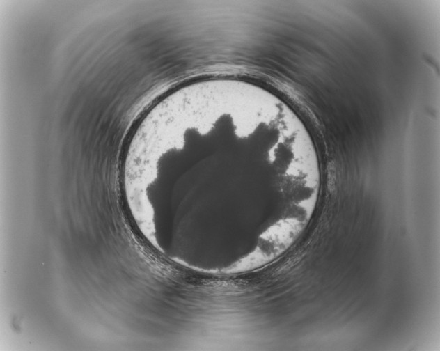 X0000102401229200808291438