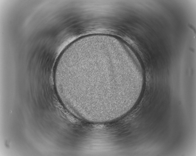 X0000102401230200808291438