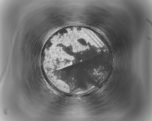 X0000102401231200808291438