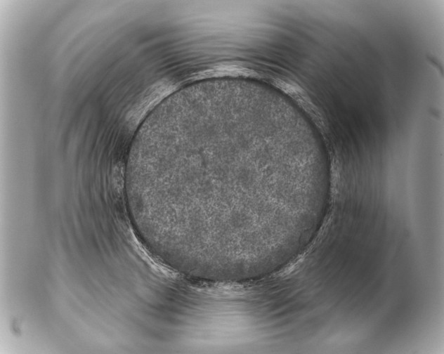 X0000102401233200808291438