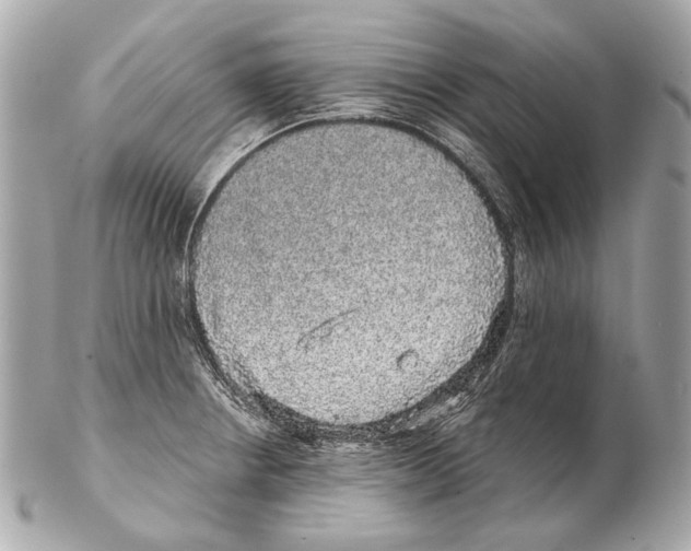 X0000102401234200808291438