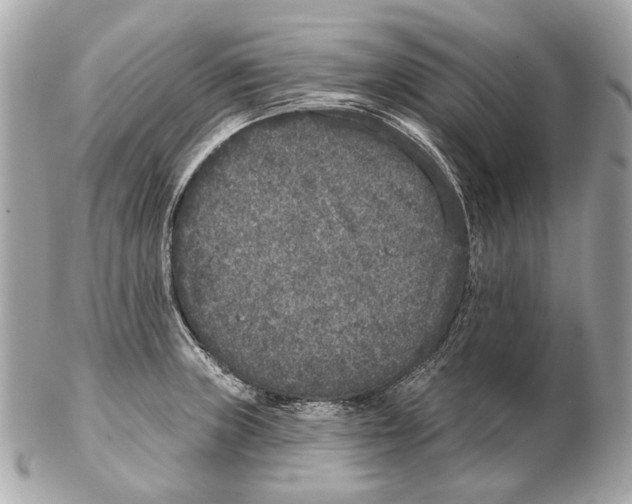 X0000102401235200808291438