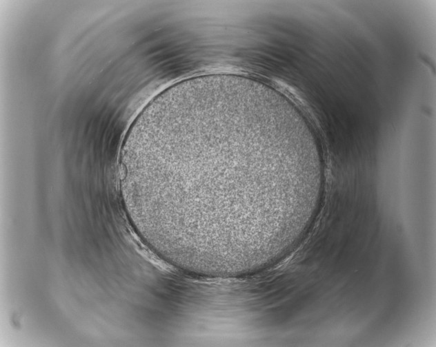 X0000102401236200808291438