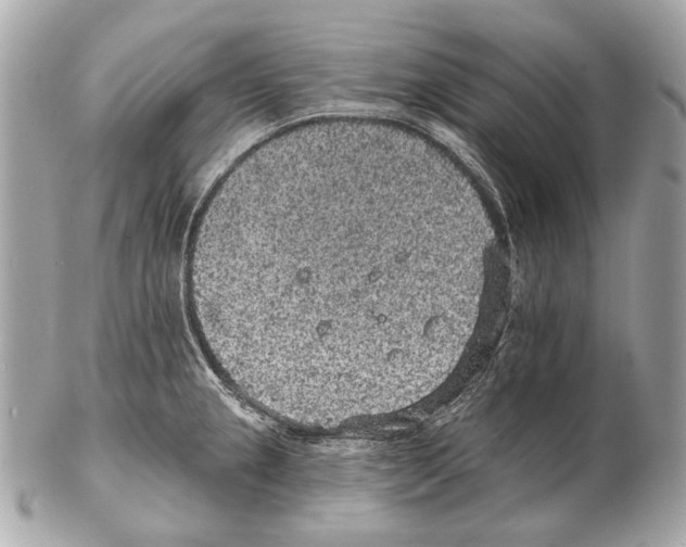 X0000102401237200808291438
