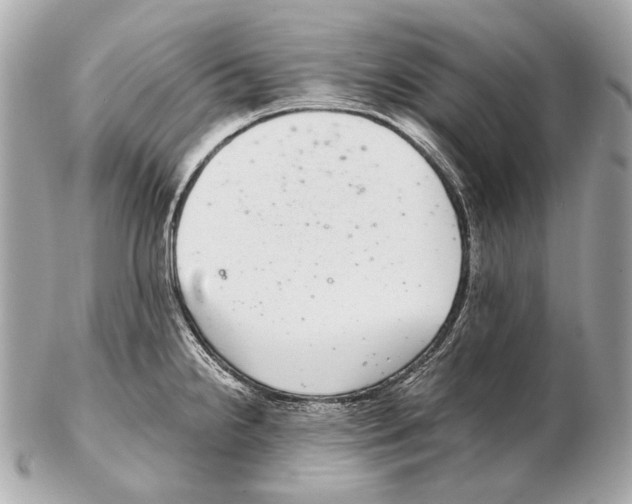 X0000102401238200808291438
