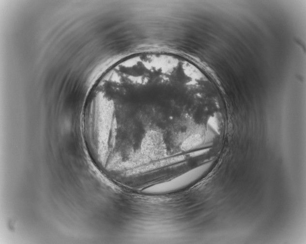X0000102401239200808291438