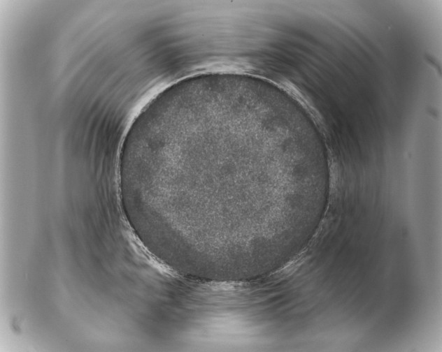 X0000102401240200808291438