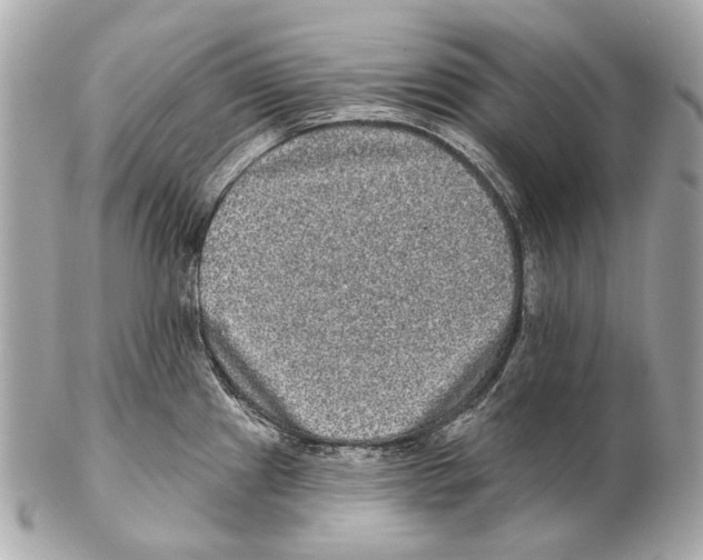 X0000102401241200808291438