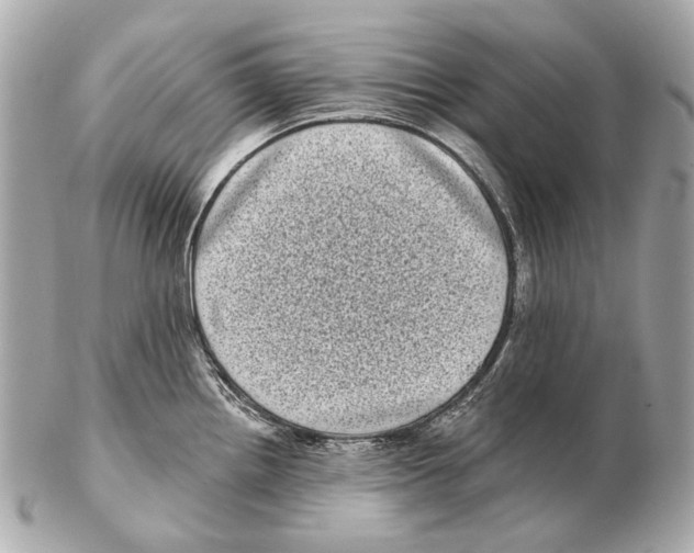 X0000102401242200808291438