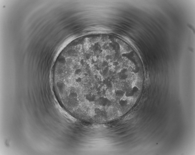 X0000102401243200808291438