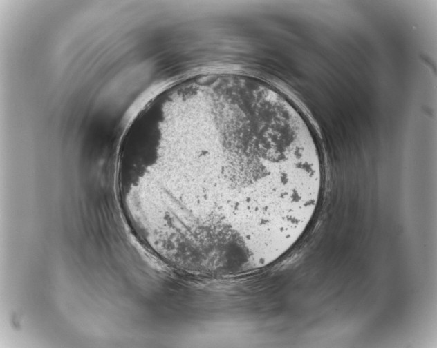 X0000102401245200808291438
