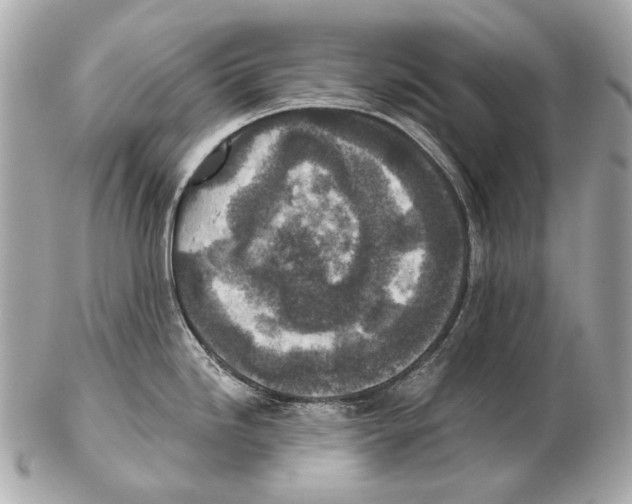 X0000102401246200808291438