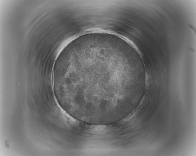X0000102401247200808291438