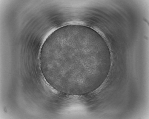 X0000102401248200808291438