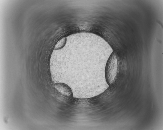 X0000102401249200808291438