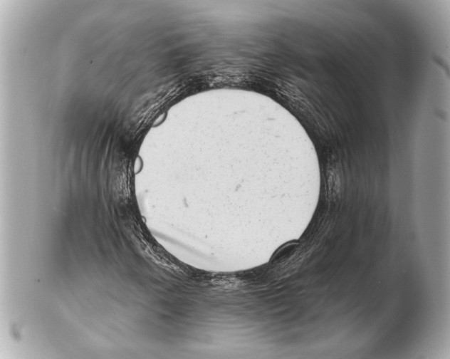 X0000102401250200808291438