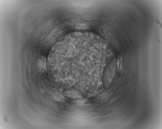 X0000102401251200808291438