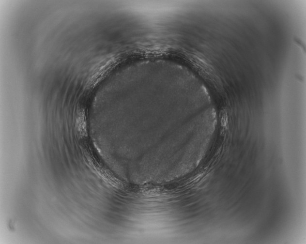 X0000102401252200808291438