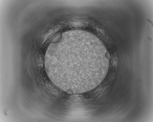 X0000102401253200808291438
