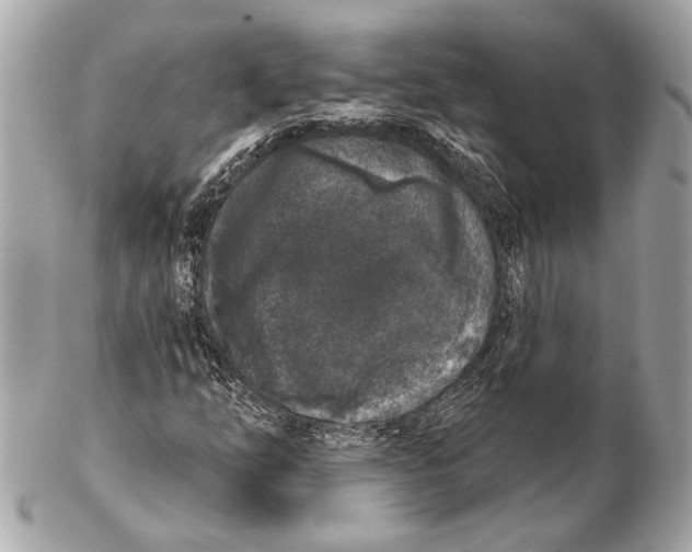 X0000102401254200808291438