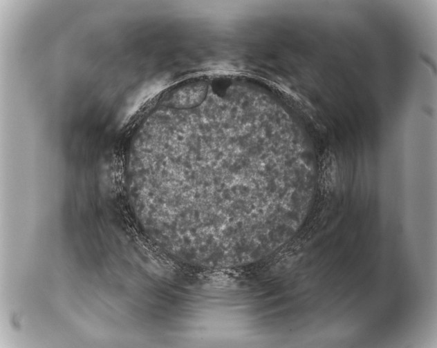 X0000102401255200808291438